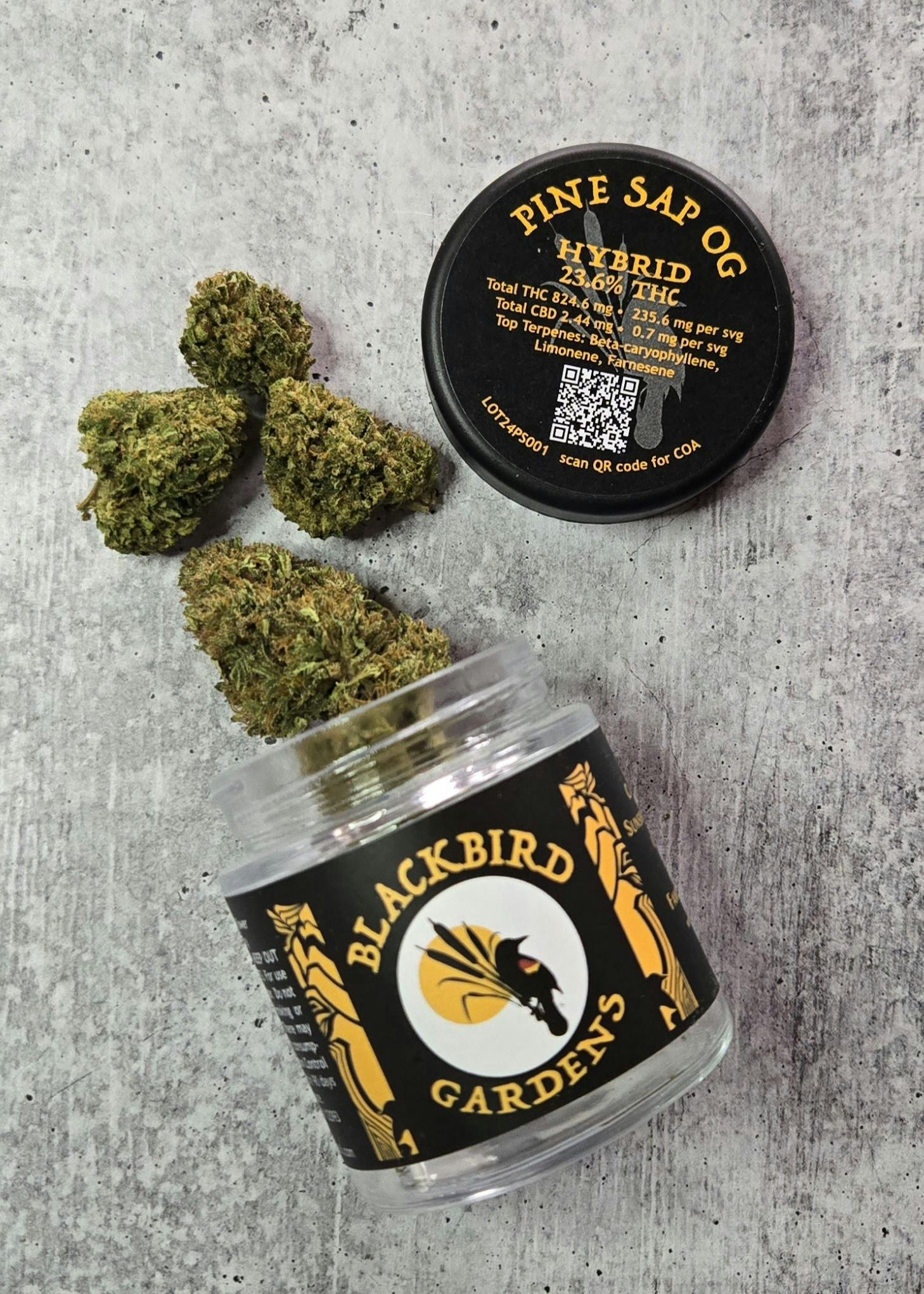 Pine Sap OG Flower 3.5g