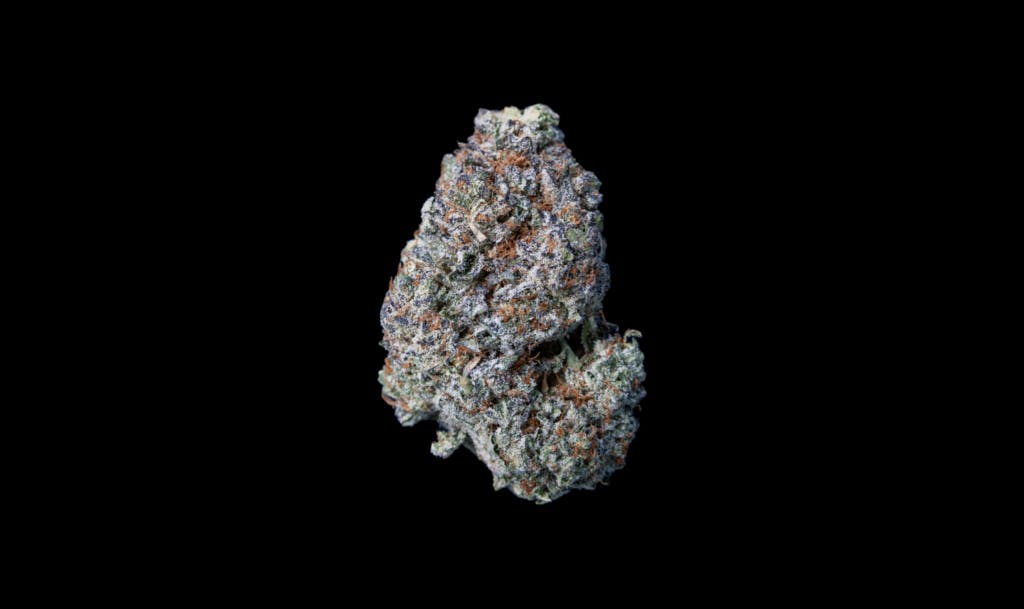 Blueberry Dawg Infused Pre-Rolls 2 pack 1g - Image 3