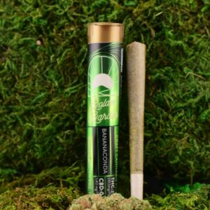 BananaConda  Pre-Roll  1g