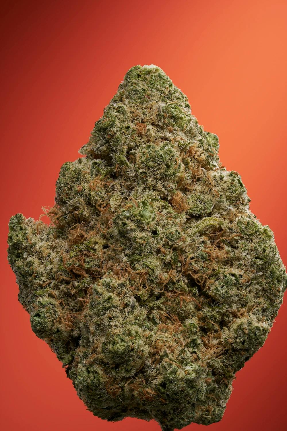 Pineapple Donut Flower 3.5g - Image 3