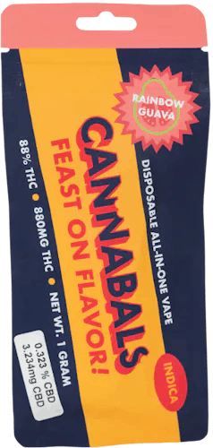 Rainbow Guava Disposable Vape 1g