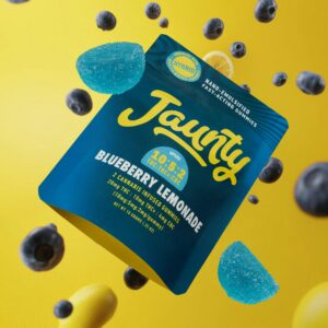 Blueberry Lemonade  Gummies  2 Pack  20mg