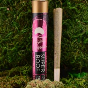 Super Boof  Pre-Roll  1g