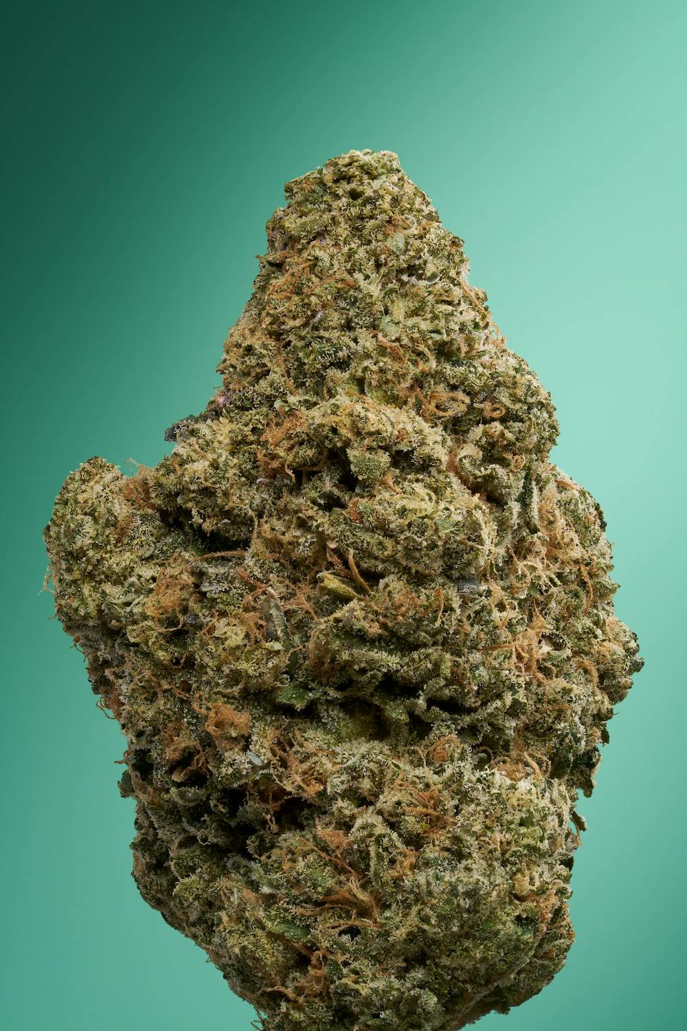 Tarts Flower 3.5g - Image 2