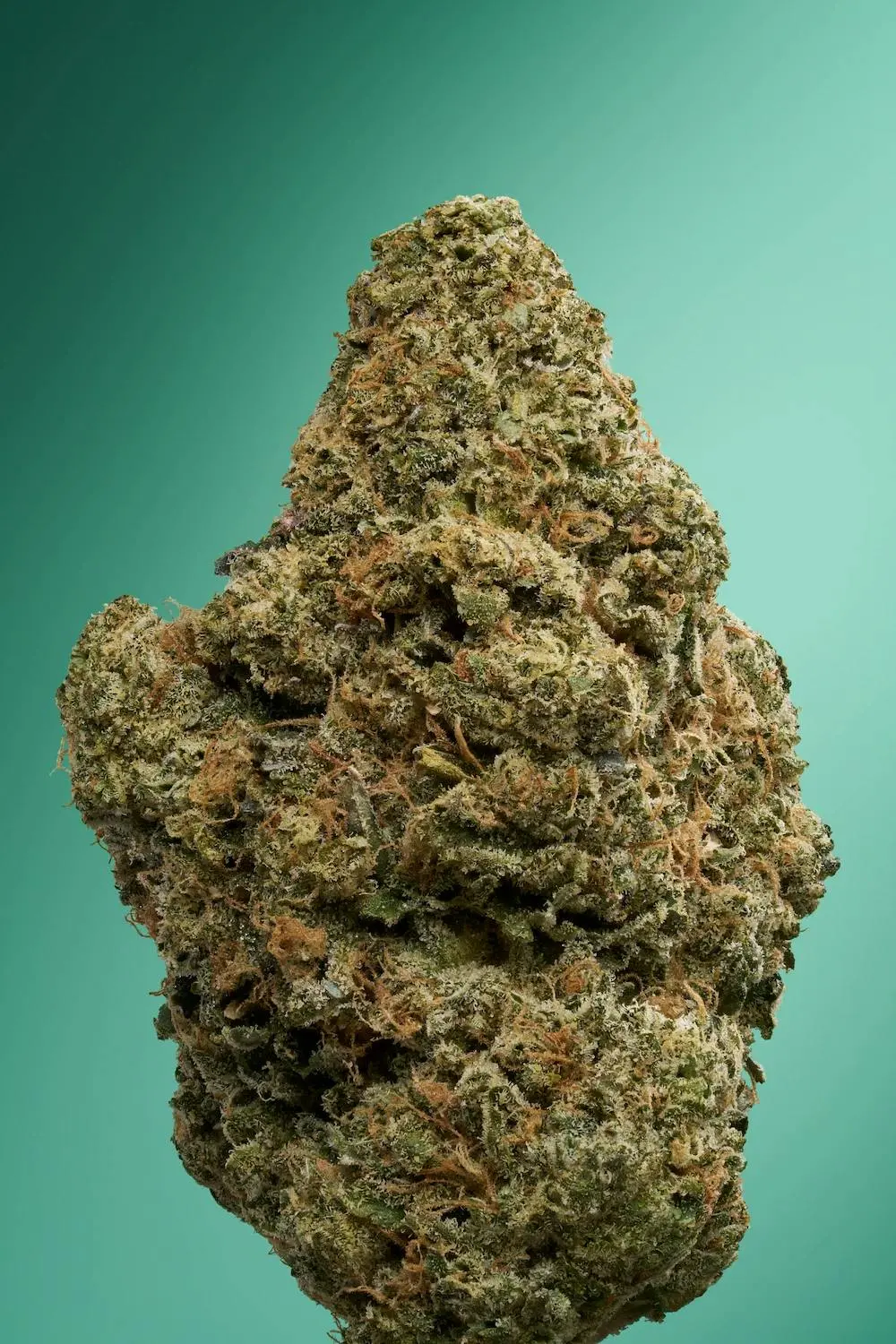 Tarts Flower 3.5g - Image 3